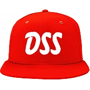 DSS Haarlem Pet