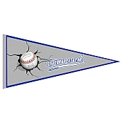 Drachten Diamonds Pennant