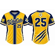 Colombes Wildcats Alternate Jersey, Flatback Mesh