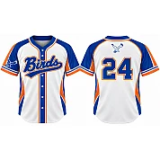 Birds Alternate Jersey, Flatback Mesh