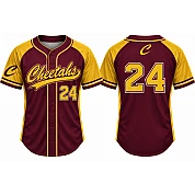 Cheetahs Alternate Jersey, Flatback Mesh