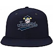 Lyngby Jokers Pet