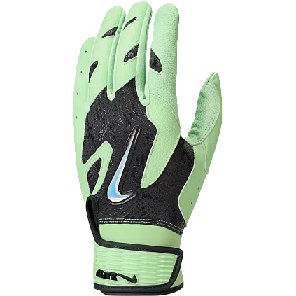 Nike Alpha Elite 2.0 Anthracite/Vapor Green