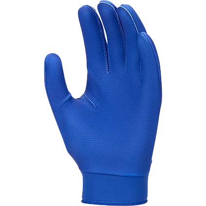 Nike Alpha 2.0 White/Game Royal