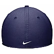 Nike Los Angeles Dodgers Performance Flex Hat