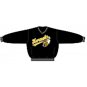 Oldenburg Hornets PolyMicro Pullover Jack