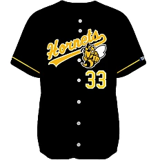 Oldenburg Hornets Team