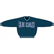 Ricklingen Blue Eagles PolyMicro Pullover Jacke