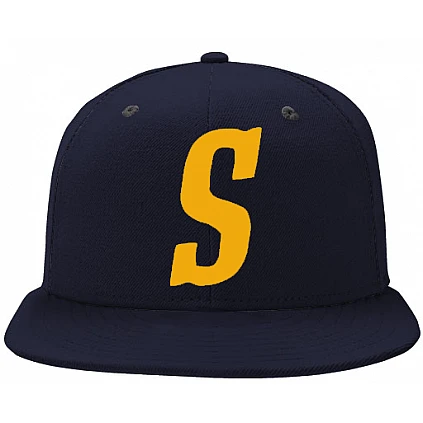 Cappello Friesland Seagulls