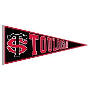 Stade Toulousain Vaantje