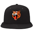 Tampere Tigers Pet