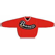 Vienna Beavers PolyMicro Pullover Jacke
