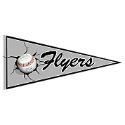 Pennant dei Wiesbaden Flyers