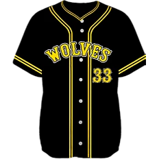 Wolverhampton Wolves Team