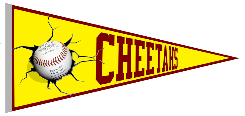 Cheetahs Vaantje