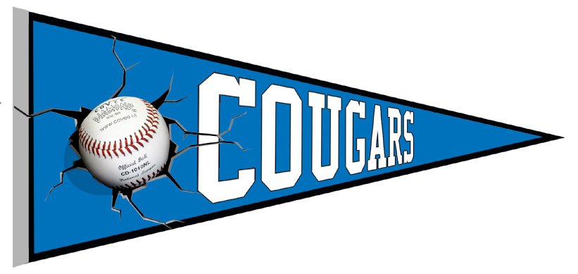 Banderin Karlsruhe Cougars