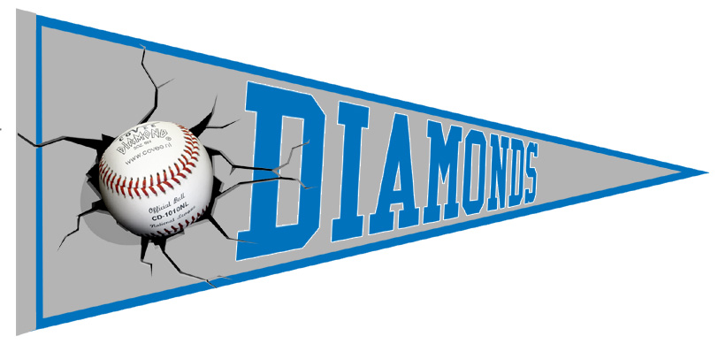 Drachten Diamonds Vaantje