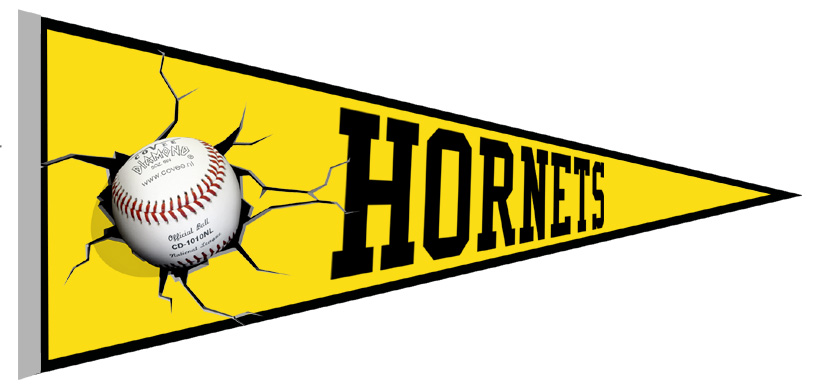 Bad Homburg Hornets Vaantje