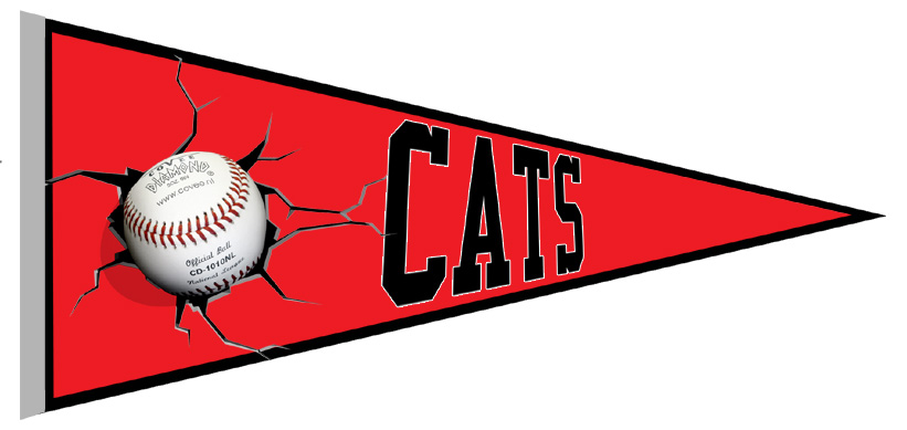 Merchtem Cats Vaantje