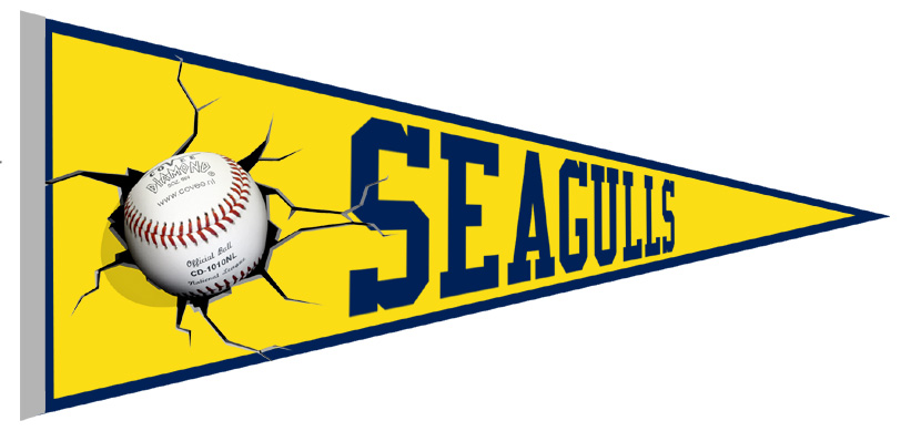 Seagulls Vaantje
