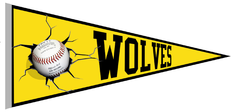 Wolverhampton Wolves Pennant