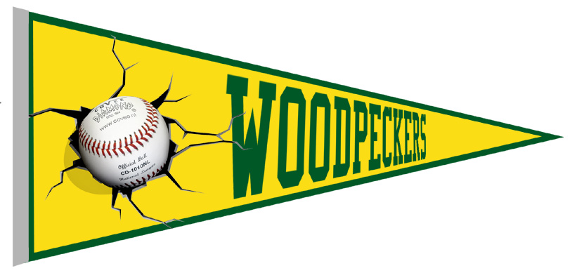 Banderin Volewijckers