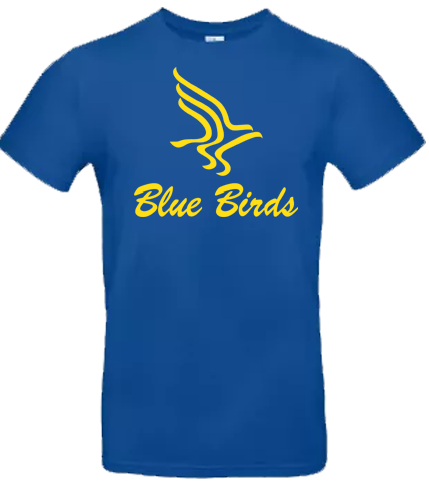 Sudadera Blue Birds