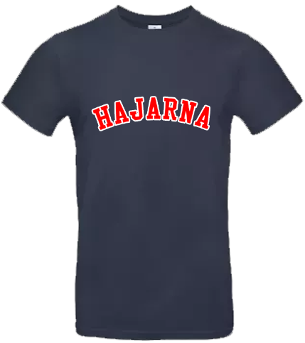 Hajarna Hoodie