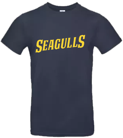 Friesland Seagulls Hoodie