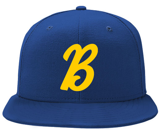 Biënto Pet: B-Logo
