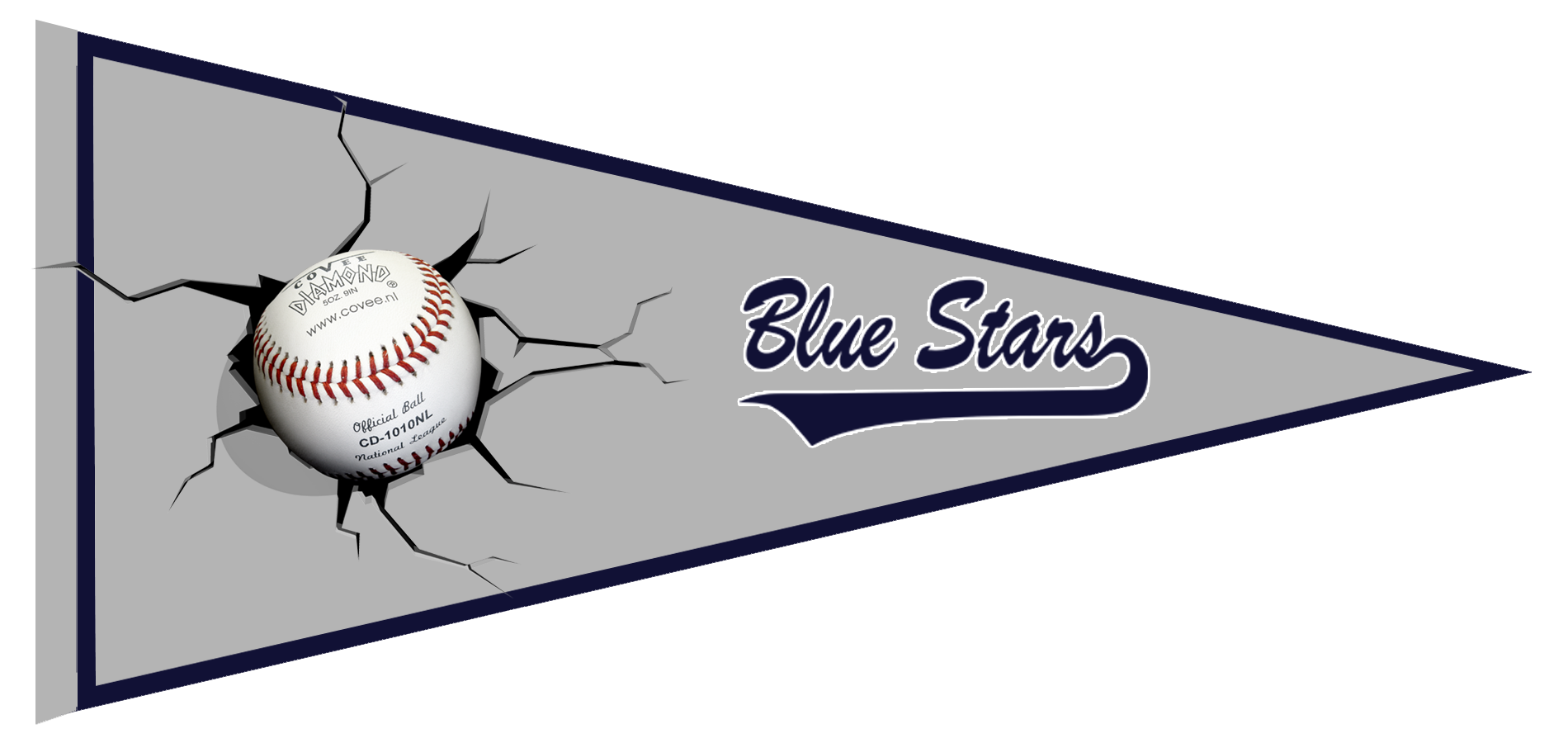 Pennant degli Blue Stars
