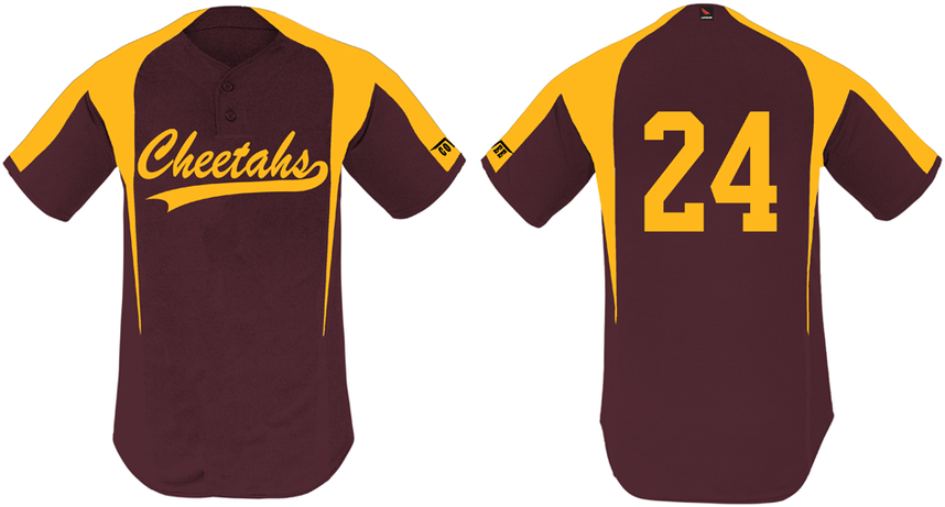Cheetahs Jersey, 2 butt: Flatback Mesh