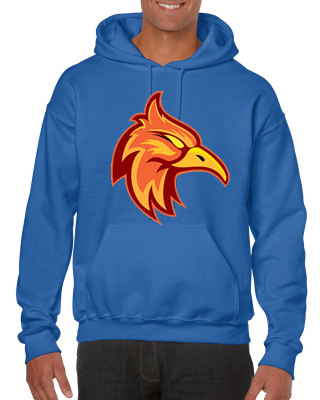 Sudadera Firebirds