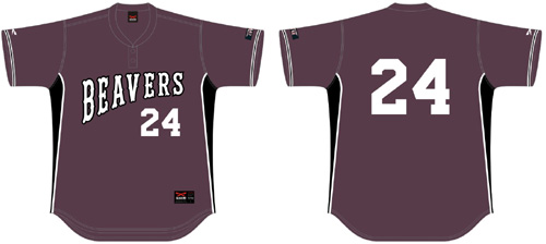 Broxtowe Beavers Trikot: Flatback-Netz