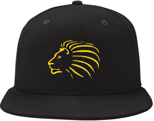 Wyck Lions Pet