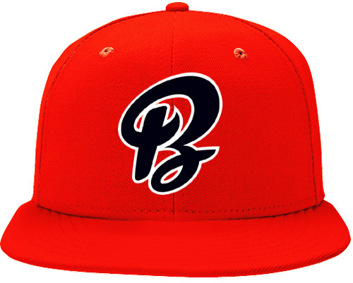 Rapperswil Bandits Pet