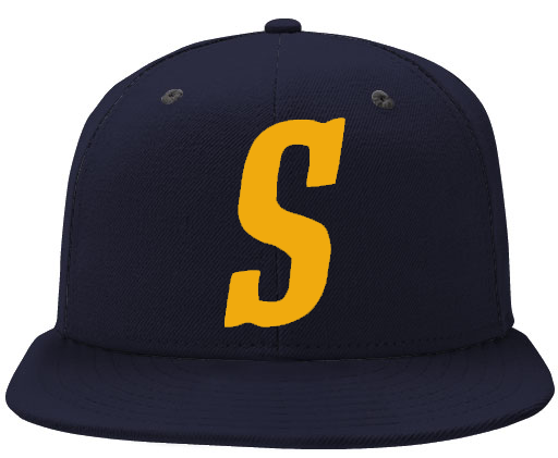 Friesland Seagulls Cap