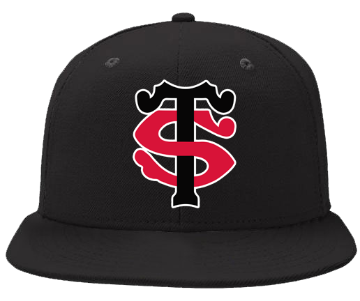 Stade Toulousain Pet