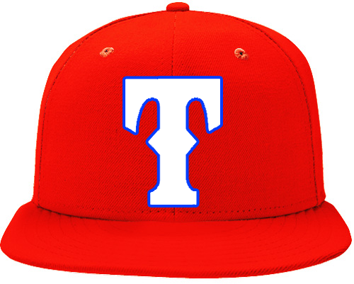 Tex Town Tigers Pet