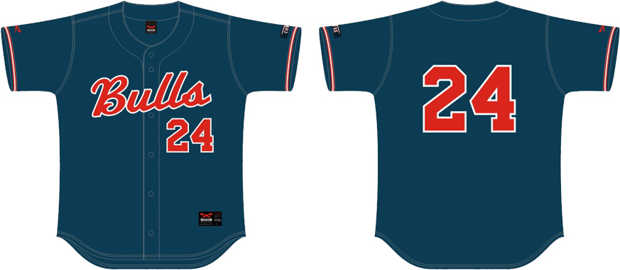 Camisa poliester mesh Bulls Jersey