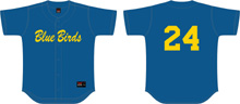Blue Birds Shirt HB, Flatback Mesh