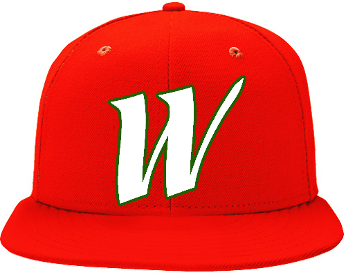 Wizards of Boz Cap