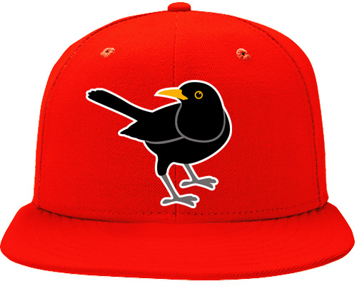 Wolfsburg Blackbirds Pet: Rood