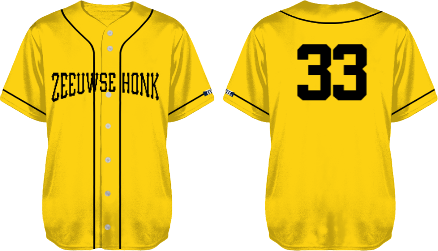 Zeeuwse Honk Trikot, Flatback Mesh