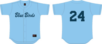 Camisa Pajaros Azules SB