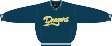 Dragons PolyMicro Pullover Jacke